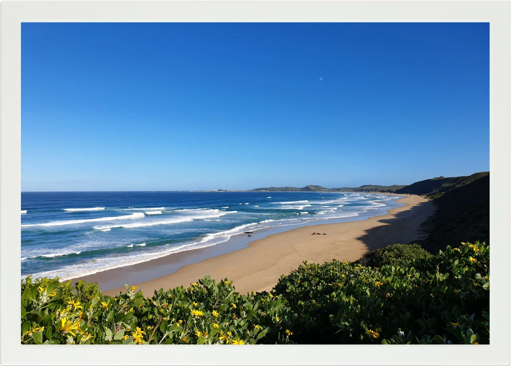 Top view of a Lapzadazy Lap Tray with a picture of Brenton-on-Sea