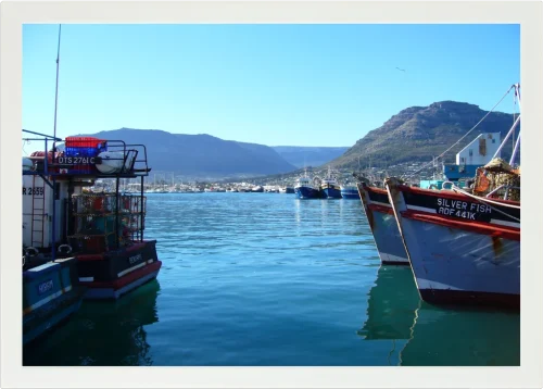 Top view of a Lapzadazy Lap Tray with a picture of boats in Hout Bay, Cape Town