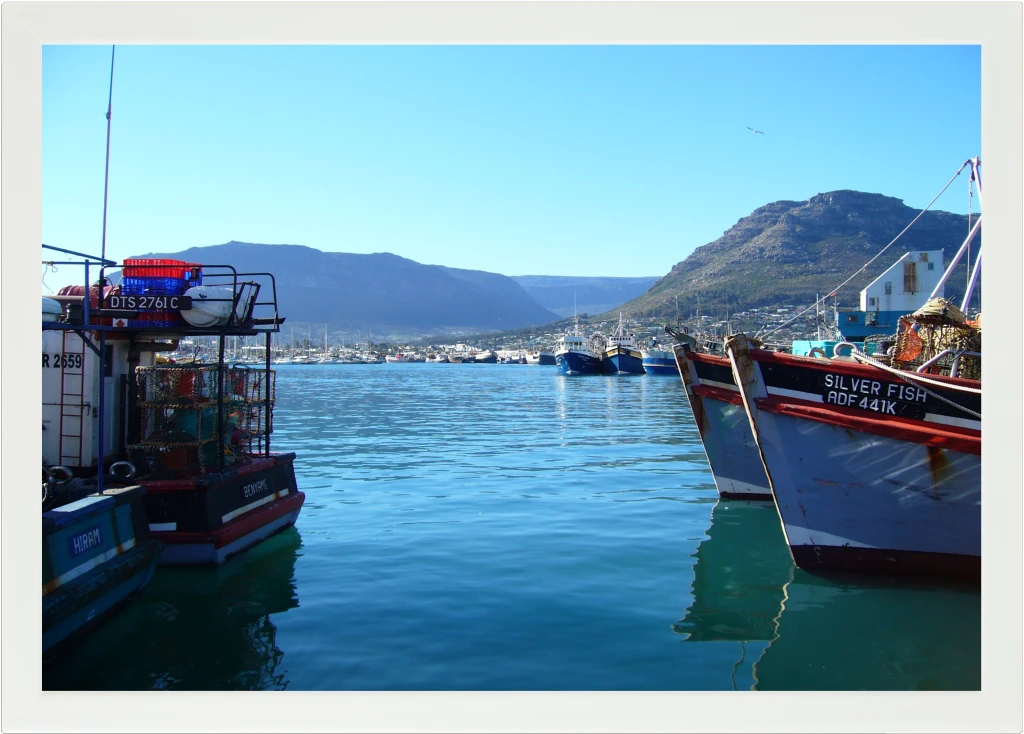 Top view of a Lapzadazy Lap Tray with a picture of boats in Hout Bay, Cape Town