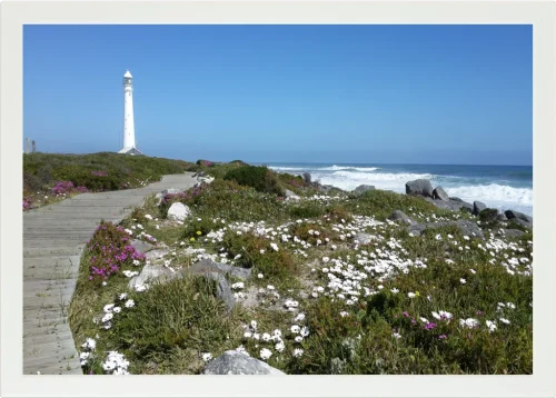 Top view of a Lapzadazy Lap Tray with a picture of Slangkop Lighthouse