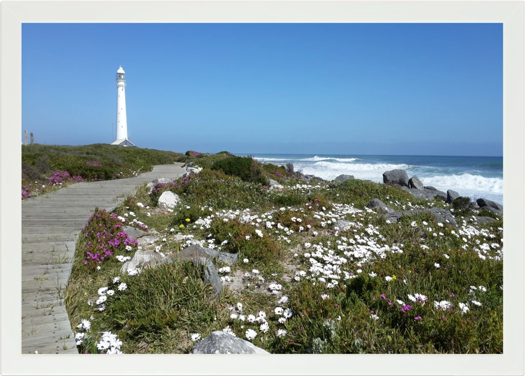 Top view of a Lapzadazy Lap Tray with a picture of Slangkop Lighthouse