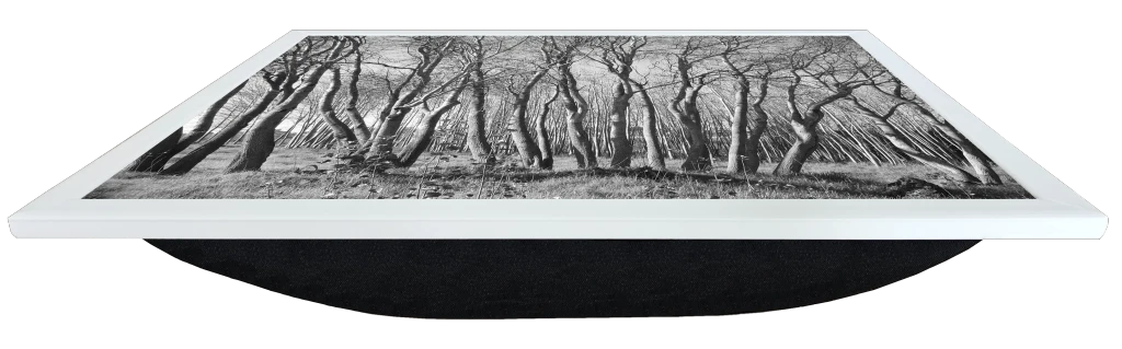 Front perspective view of a Lapzadazy Lap Tray with a picture of black and white trees