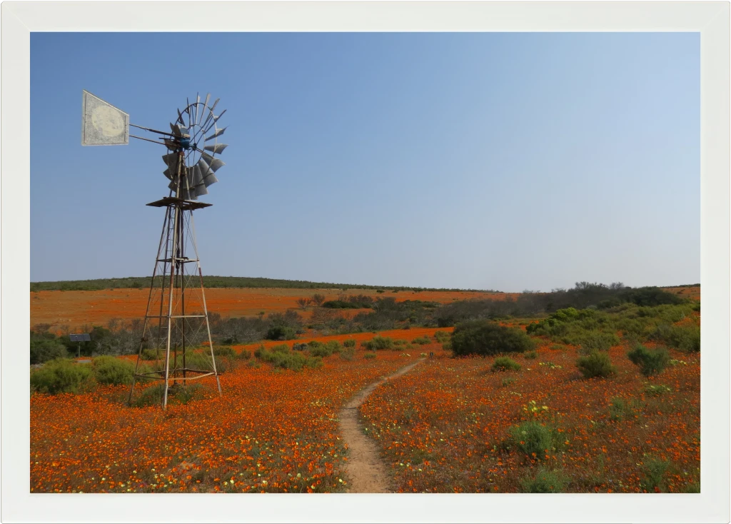 Top view of a Lapzadazy Lap Tray with a picture of a windmill in a field